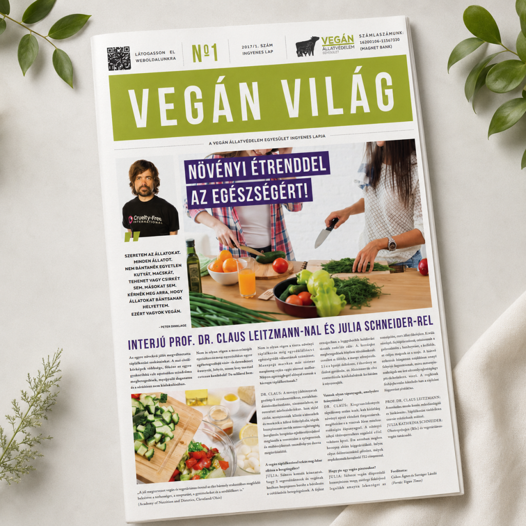 vegan-vilag-17-1