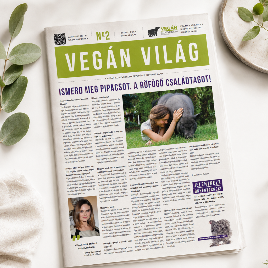 vegan-vilag-17-2
