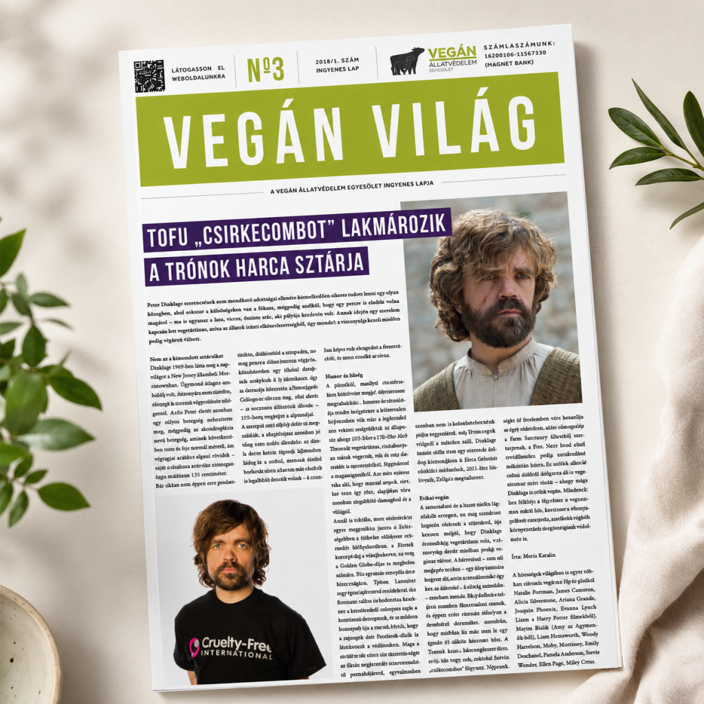 vegan-vilag-18-1